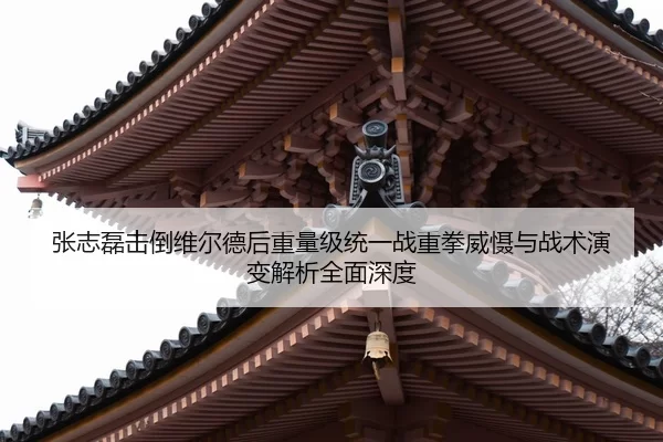 张志磊击倒维尔德后重量级统一战重拳威慑与战术演变解析全面深度